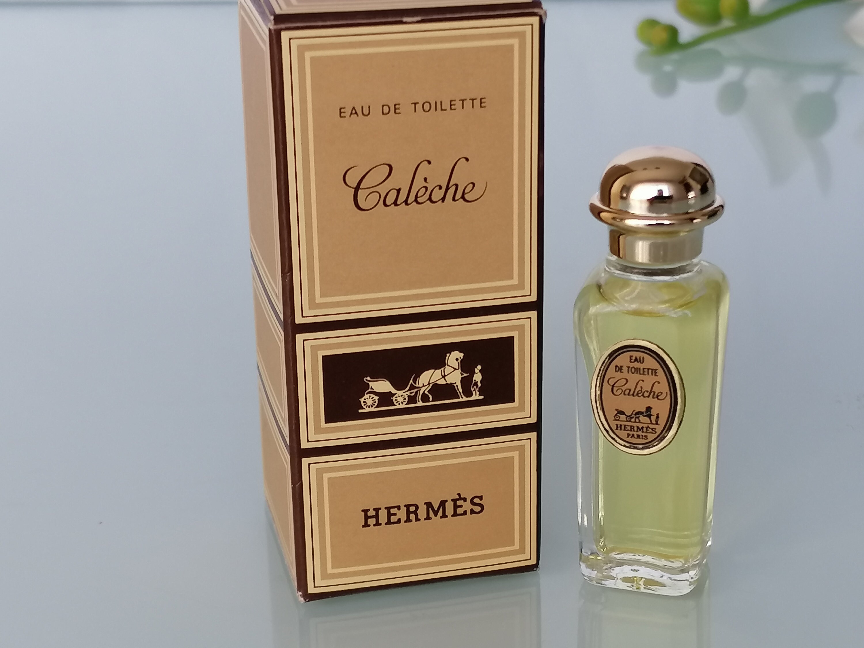 Caleche by Hermes 1961 Eau de Toilette 75 ml/025 fl.oz Etsy