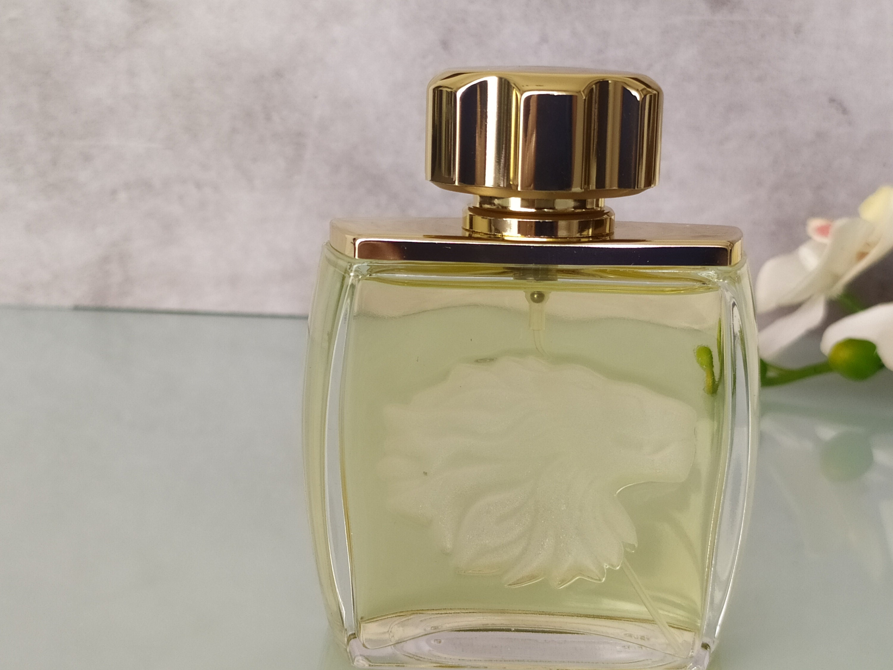 Lalique pour homme lion fragrantica outlet