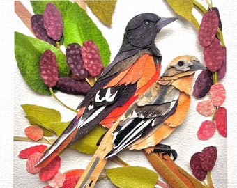 Limited Giclee Oriole Print/Bird Fine Art Print