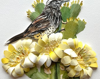 Original Framed Paper Cactus Wren /Original Bird Art