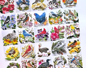 US State Bird Poster Large with labels/Bird Poster