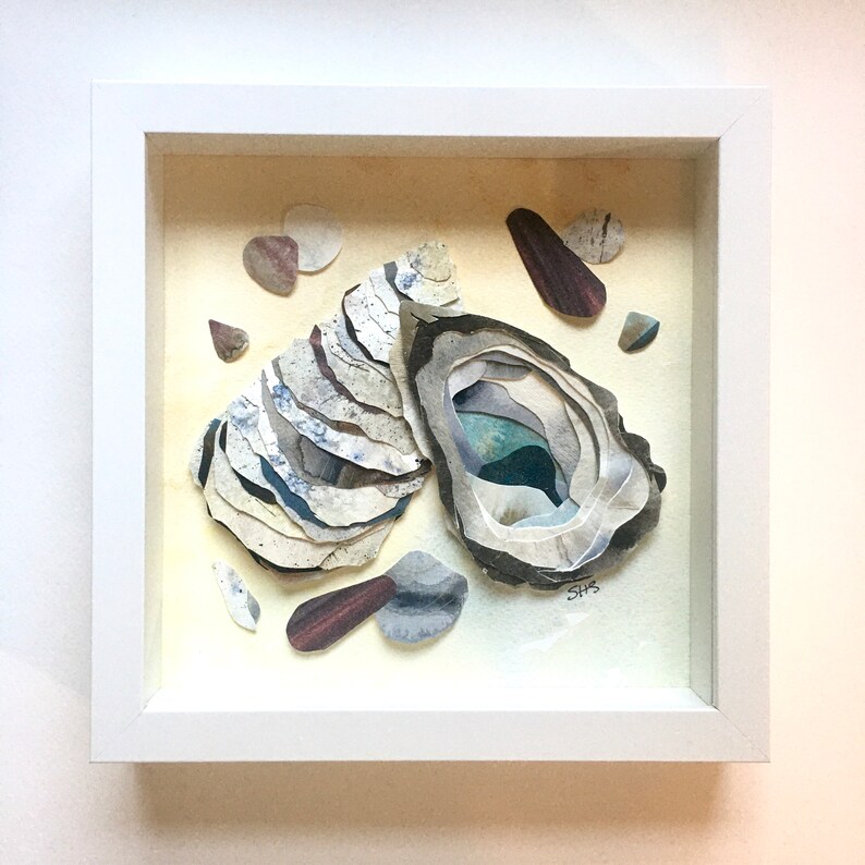 Amazon oyster shells image