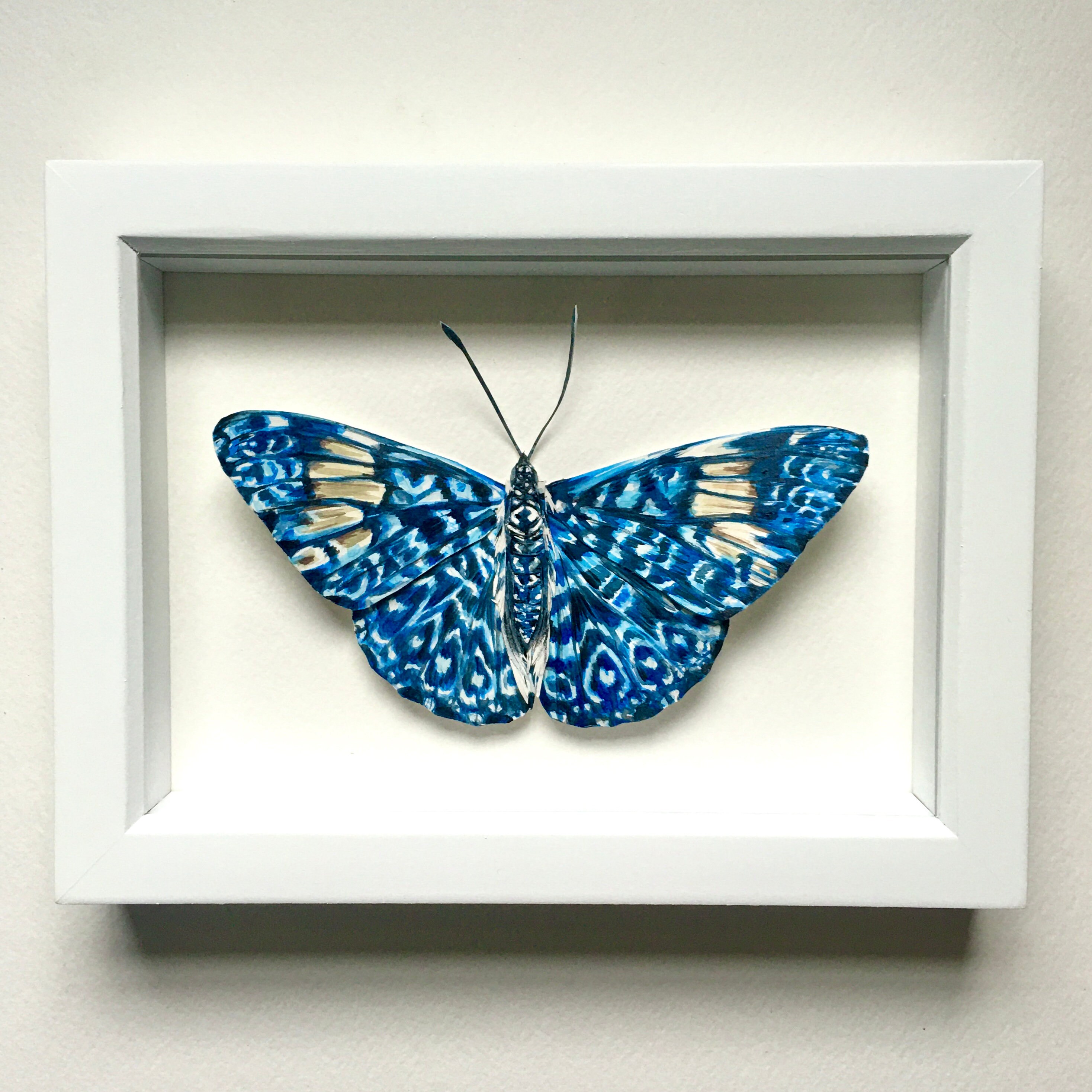 Framed Paper Cut Firecracker Butterfly Art/Original Butterfly Etsy