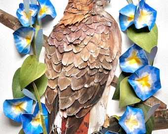 Original Framed Paper Red Tail Hawk/Original Bird Art