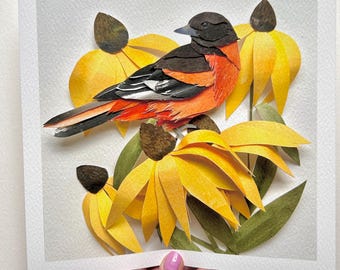 Limited Giclee Oriole Print/Bird Fine Art Print