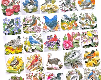 US State Bird Poster Large NO labels/Bird Poster