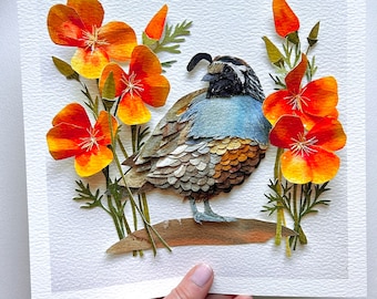 Limited Giclee California Quail Print/Bird Fine Art Print
