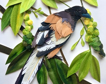 Framed Paper Tiger Bird/Original Hand cut Paper Art