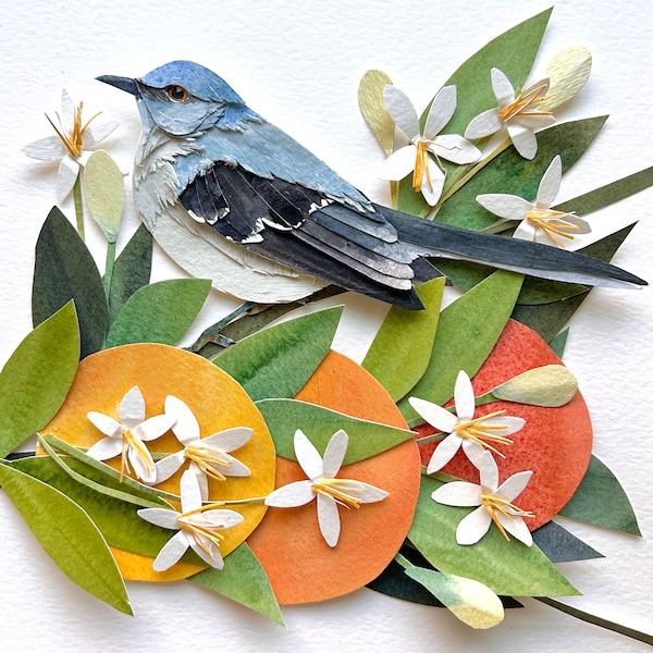 Originele papieren Mockingbird-kunst/vogelkunst