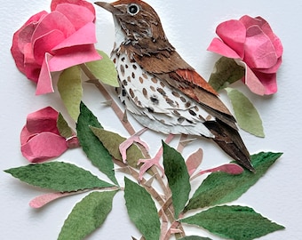 Framed Paper Cut Wood Thrush/Original Bird Art