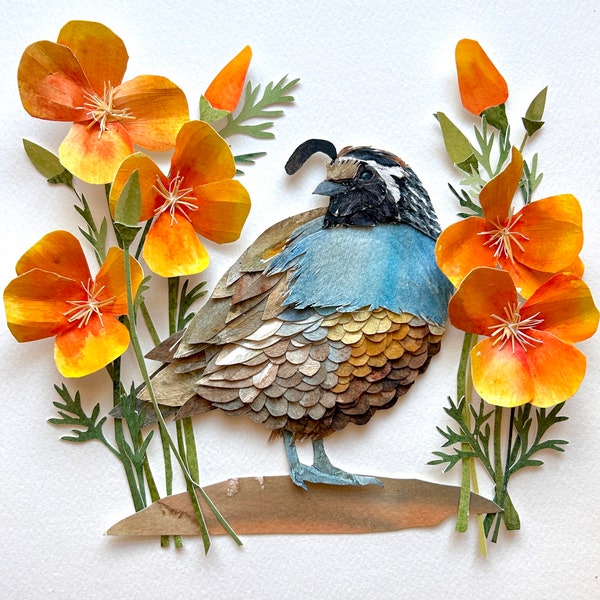 Original Framed Paper California Quail/Original Bird Art