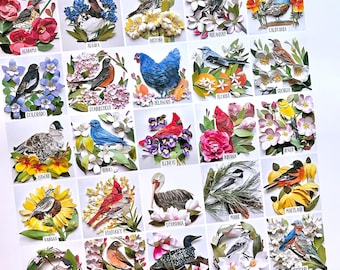 US State Bird Poster Small with labels/Bird Poster