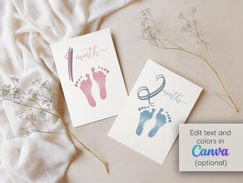 Baby Milestone Cards Digital Printable: DIY Monthly Baby Photo Prop ...