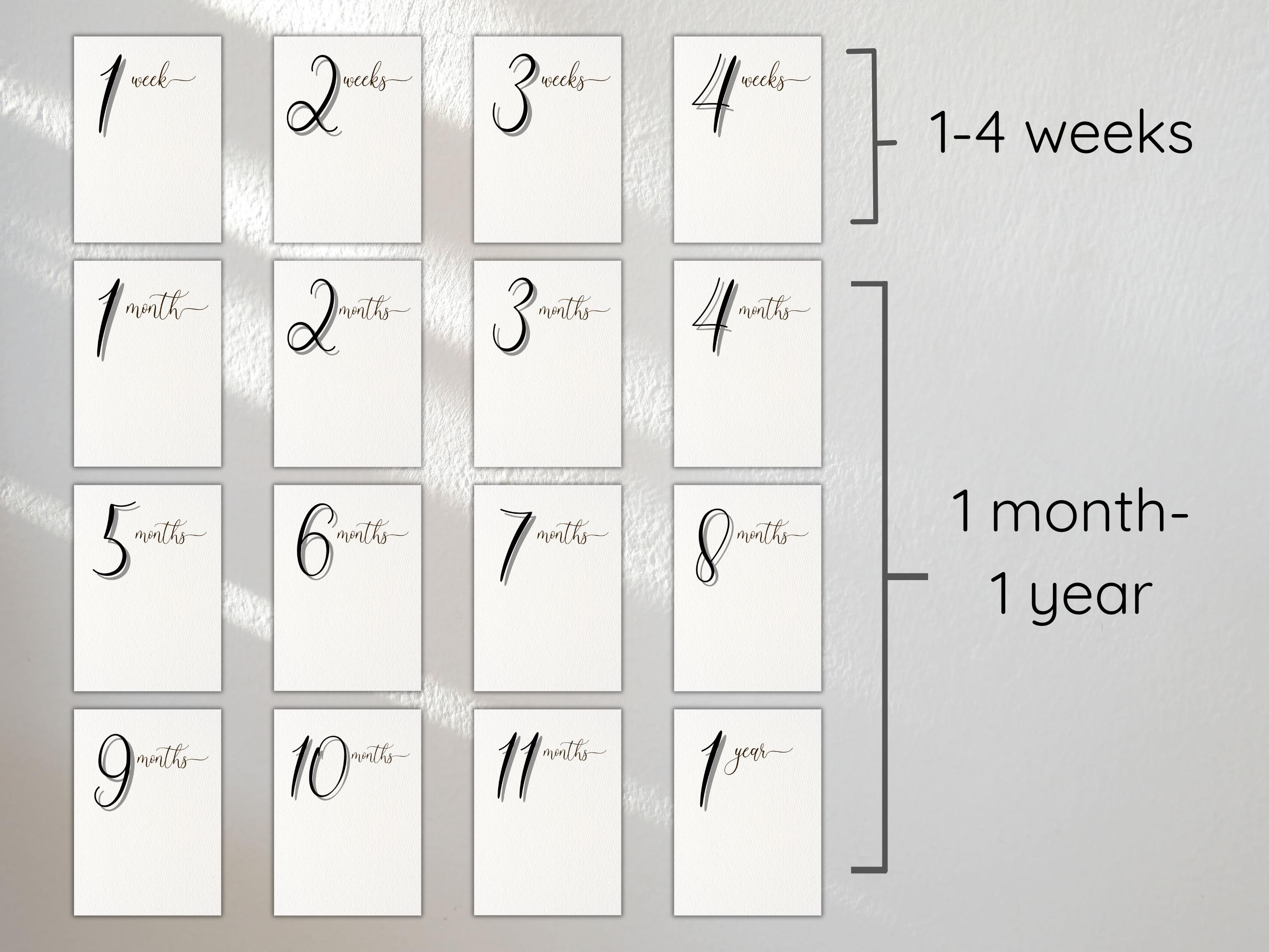Baby Milestone Cards Digital Printable: DIY Monthly Baby Photo Prop ...