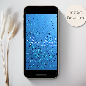 性別お披露目ビデオ「男の子」、男の子妊娠発表デジタル、バーチャル性別お披露目ビデオ「男の子」（即時ダウンロード）