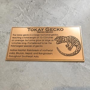 Detailed engraved bronze plaque, bronze sign with engraved custom text and image.