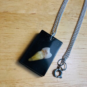 Real human tooth in resin necklace