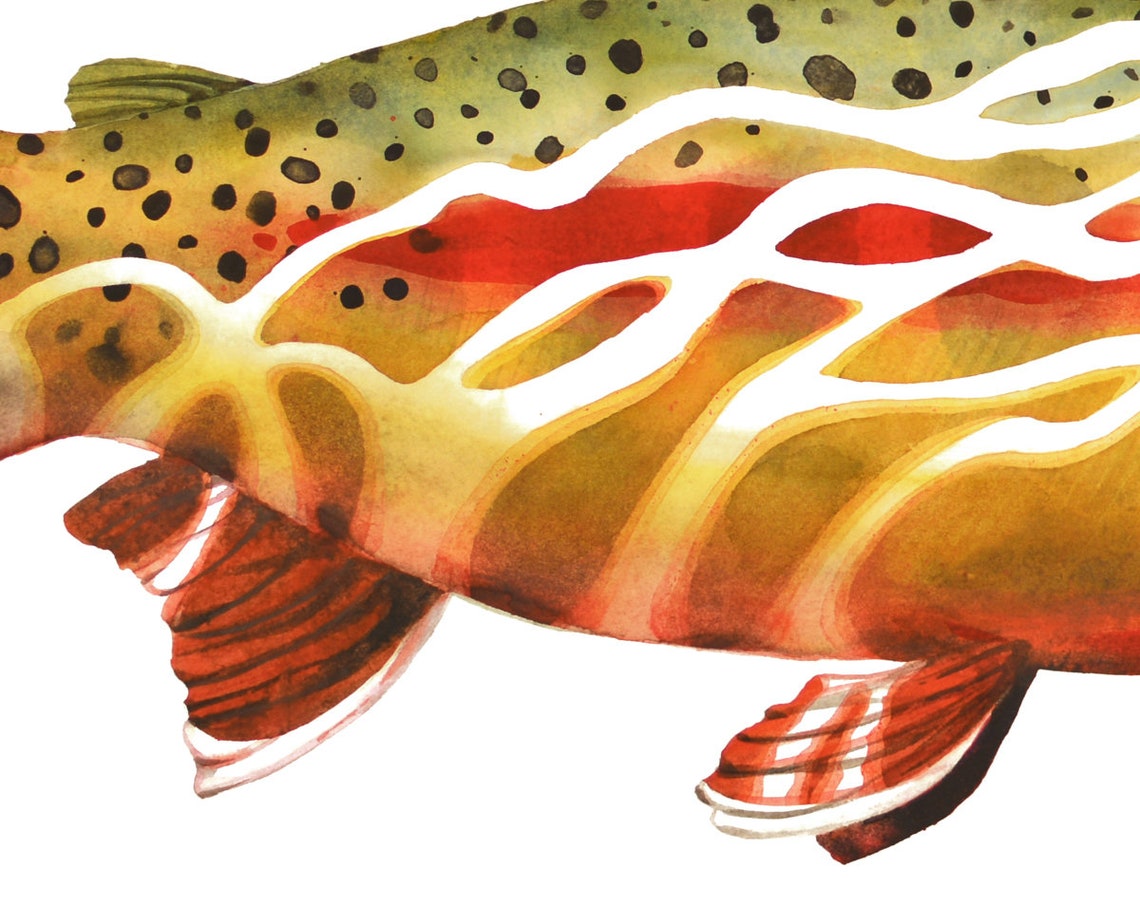 California Golden Trout Painting Golden Trout Art Fish Art Etsy