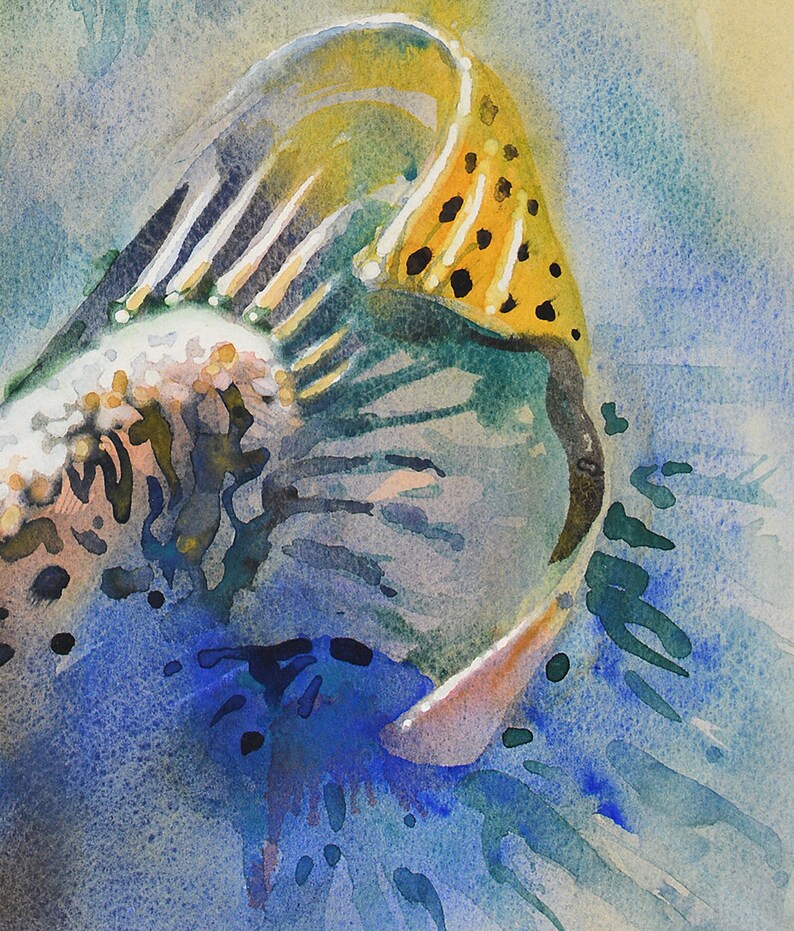 California Golden Trout Painting Golden Trout Art Fish Art Etsy