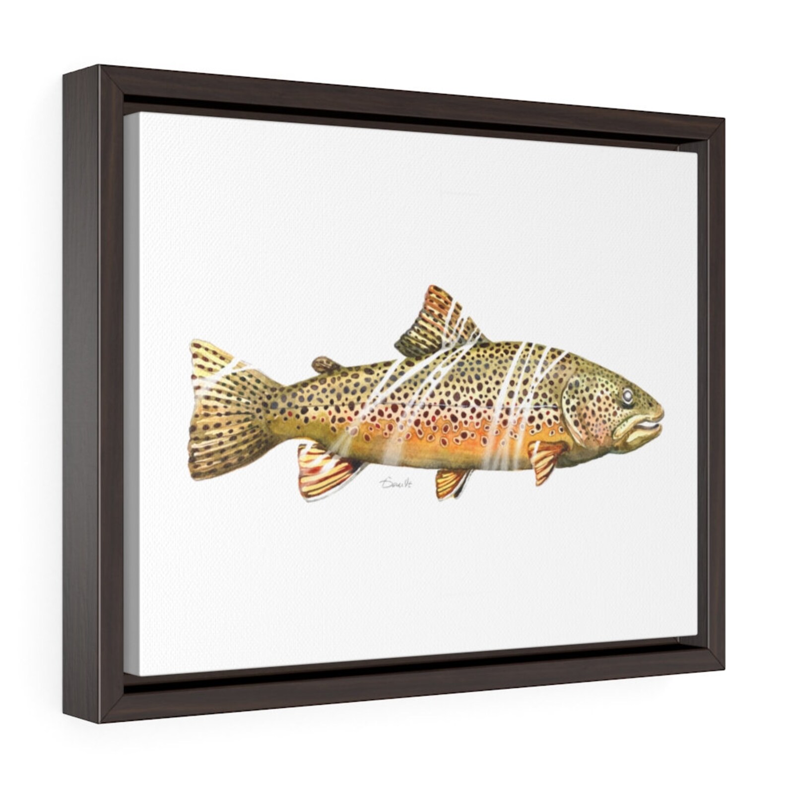 Brown Trout Framed Canvas Print, Premium Gifts for Fishermen Etsy