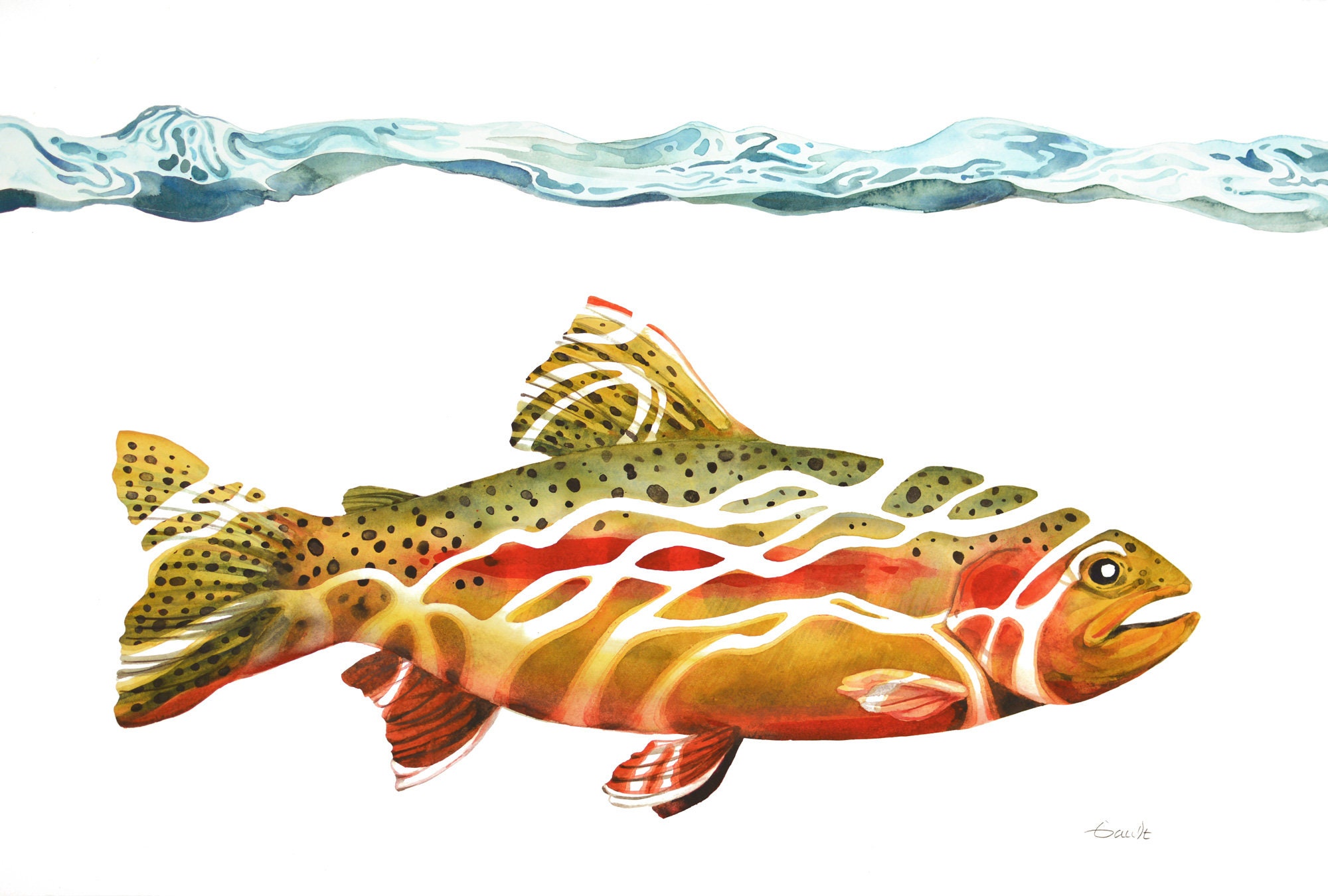 California Golden Trout Painting Golden Trout Art Fish Art Etsy