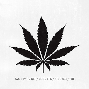 Pot feuille SVG, fichiers SVG pour Cricut, fichiers dxf pour Silhouette, téléchargement de marijuana, conception Svg, fichiers Cricut, silhouette svg pot feuille