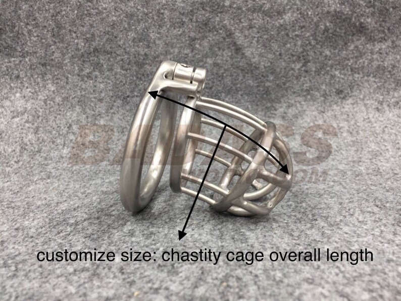 Customizable Chastity Cage Dual Lock System Stainless Steel | Etsy