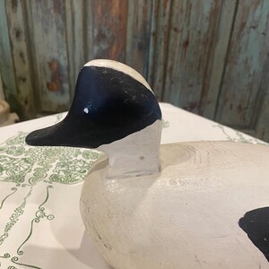 May include: A hand-carved wooden duck decoy featuring a smooth white body and a distinct black head and beak. The surface shows visible wood grain texture and minor paint wear, highlighting the craftsmanship of this decorative waterfowl figure.