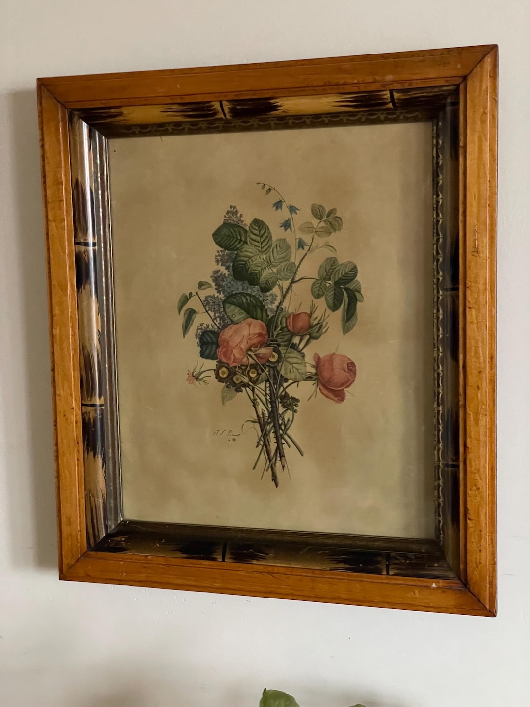 Antique Jean Louis Prevost Botanical Print - Etsy