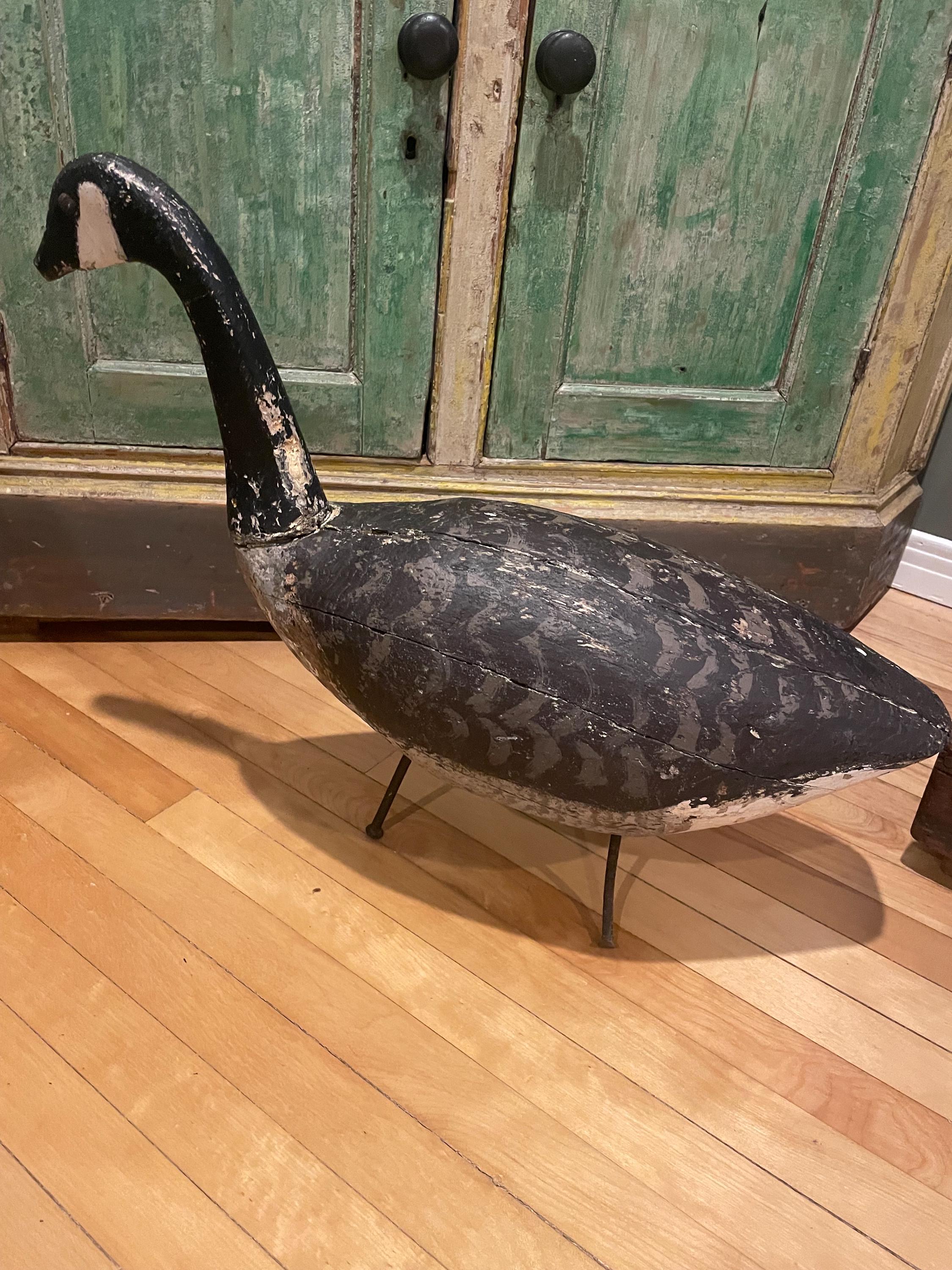 A very rare full body antique wooden hand carved Havelock Mill Canada goose decoy from circa 1900.