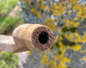 Rare primitive indigenous hand carved maple syrup sap spigots or spiles.