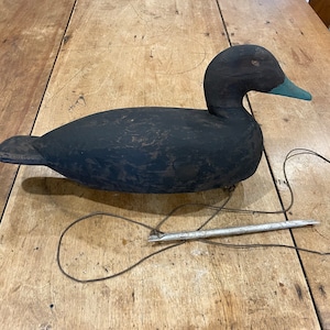 Nicely carved and signed 20th century black duck decoy from northern New Brunswick