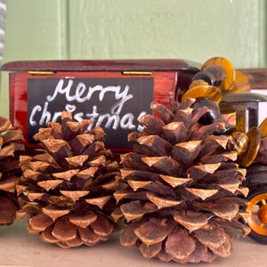 Rustic Ponderosa Pine Cones – 3–4” Tall | Natural Craft Supplies, Wedding & Holiday Décor