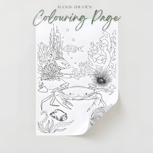 Dibujos para colorear dibujados a mano para adultos - Cangrejo PDF imprimible