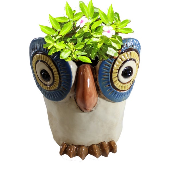 Colorful Ceramic Owl Planter - Adorable Big-Eyed Silly Owl for Plants - Whimsical Home Décor and Gift add your plant, herb, succulent