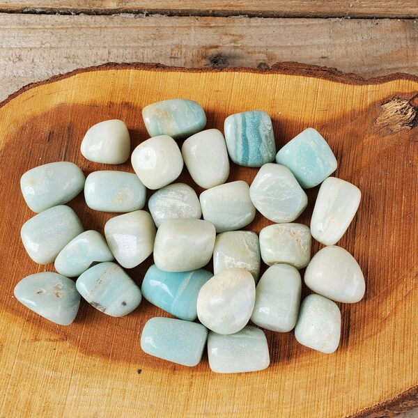 Amazonite Tumbled Stones with Smudging Herbs, Choose How Many Pieces, for Money, Luck, Success, Gambler's Stone, Rejuvenation