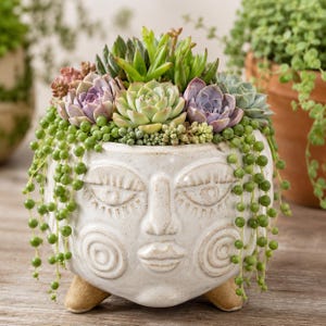 May include: A white ceramic planter shaped like a human face with three small feet, filled with a variety of succulents including green, purple, and pink rosettes, and long trailing strings of green pearls hanging over the sides of the pot.
