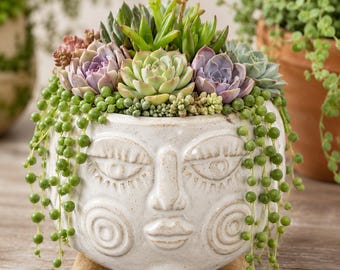 Fun Female Face Planter, Face Flower Pot, Succulent Planter, Head Planter, Funny Pots for Plants, Girl Face Head Planter