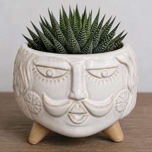 May include: A cream-colored ceramic planter shaped like a human face with a mustache, featuring a textured surface and three small tan feet. A dark green succulent plant with white speckled patterns grows out of the top of the round vessel.