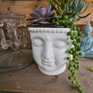 May include: White ceramic planter shaped like a Buddha's face, with a variety of succulents growing inside. The planter is sitting on a wooden surface, and there is a crystal chandelier in the background.
