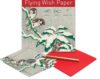 Large Butterfly Wish Paper Law of Attraction Wish Kit 