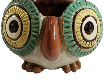 Colorful Ceramic Owl Planter - Adorable Big-Eyed Silly Owl for Plants - Whimsical Home Décor and Gift add your plant, herb, succulent