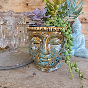 May include: A ceramic Buddha head planter with a brown and turquoise glaze, filled with succulents and trailing plants. A light blue Buddha statue and a crystal candle holder are in the background. The planter has a serene expression.