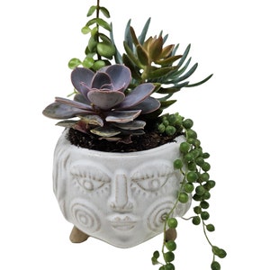 Fun Female Face Planter, Face Flower Pot, Succulent Planter, Head Planter, Funny Pots for Plants, Girl Face Head Planter