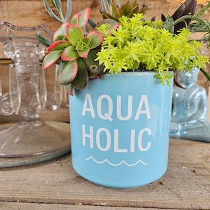 May include: A light blue ceramic planter with the text "AQUA HOLIC" and wavy lines underneath. The planter is filled with a variety of succulents, including green and red varieties.