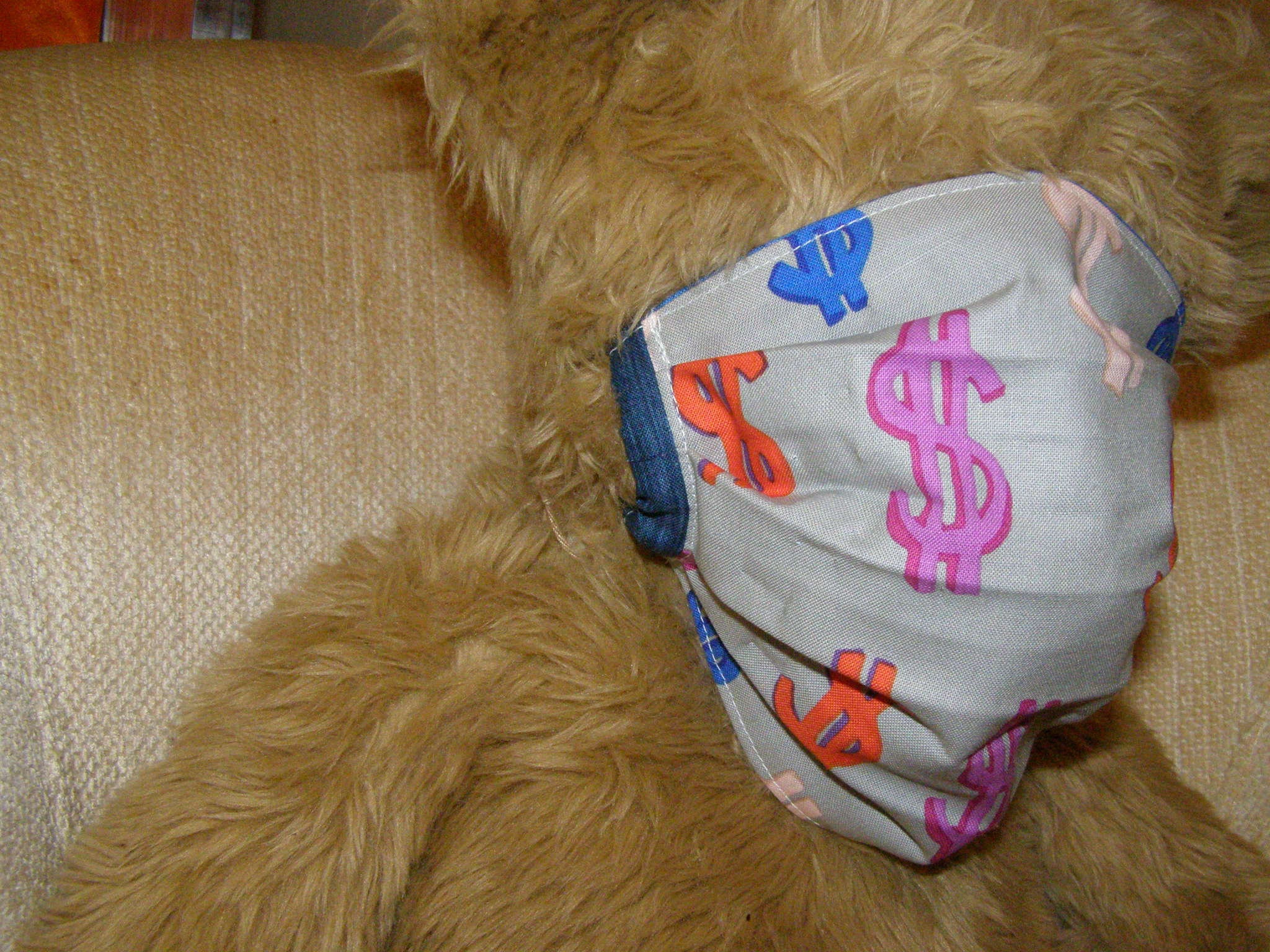 Face Mask Adult MONEY DOLLAR SIGNS Pint Fabric Reversible Etsy