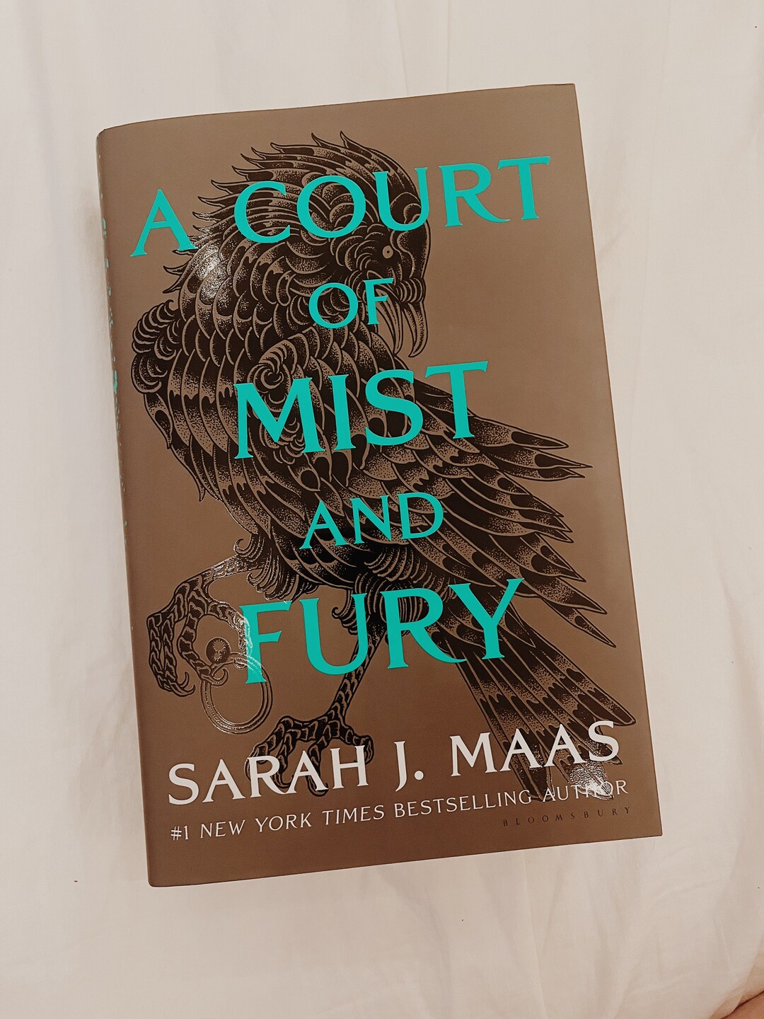 A Court of Mist and Fury Annotated Etsy A Court of Mist and Fury Annotated Etsy