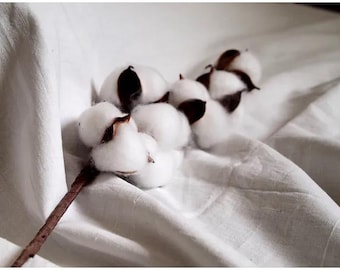 Coton Khadi | Coton fin indien filé et tissé à la main