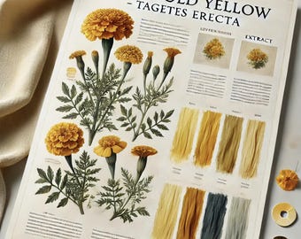 Marigold Yellow - Tagetes Erecta Natural Dye Extract - 50 gram
