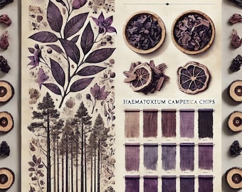 100gr/3.5oz Logwood CHIPS Campeche Purple, Blue and Black Natural Dye